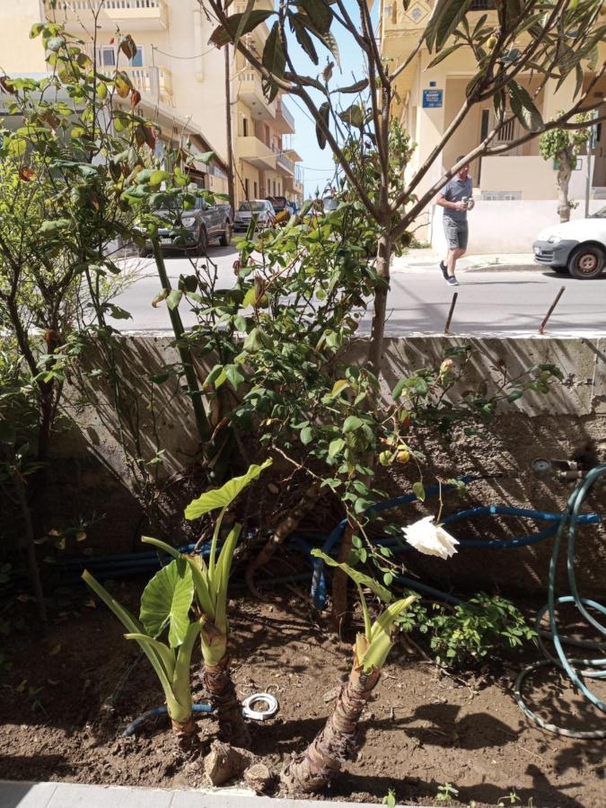 Hrysanthl Διαμέρισμα Χανιά Εξωτερικό φωτογραφία